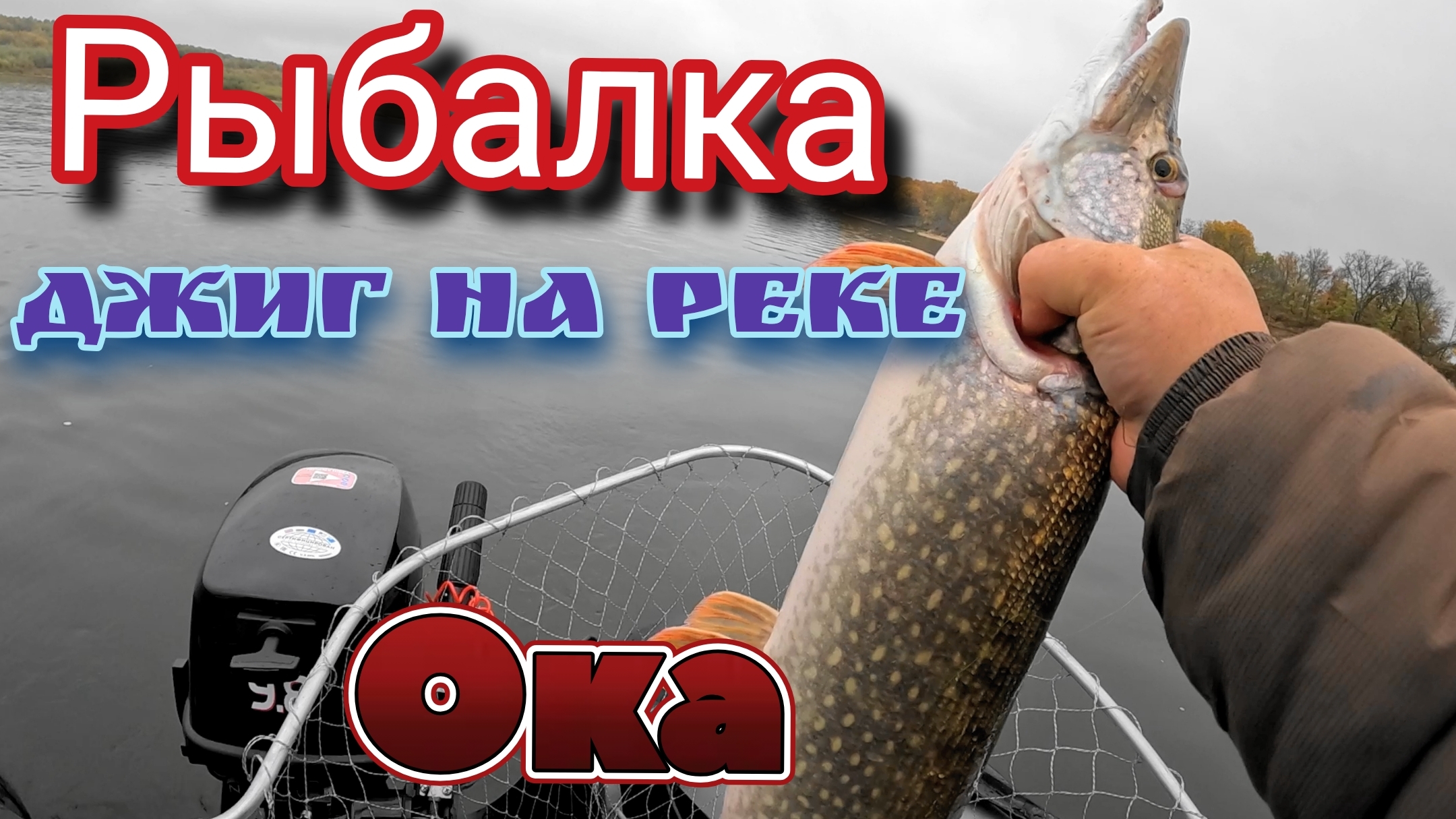 Как поймать трофейную рыбу осенью? Джиг на реке Оке!