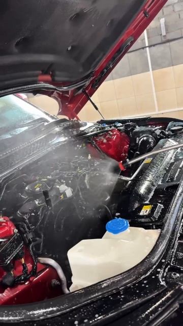 Мойка двигателя автомобиля Range Rover Sport с консервацией