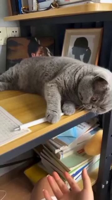 В этой игре ты не победишь