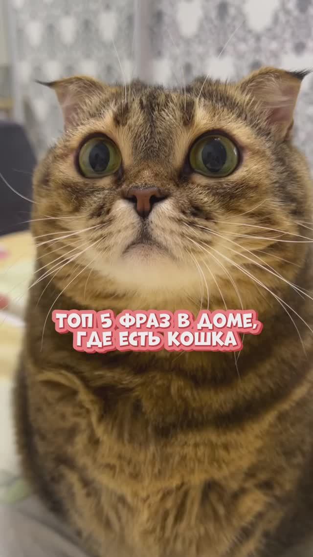 Какие еще знаешь фразы?😀