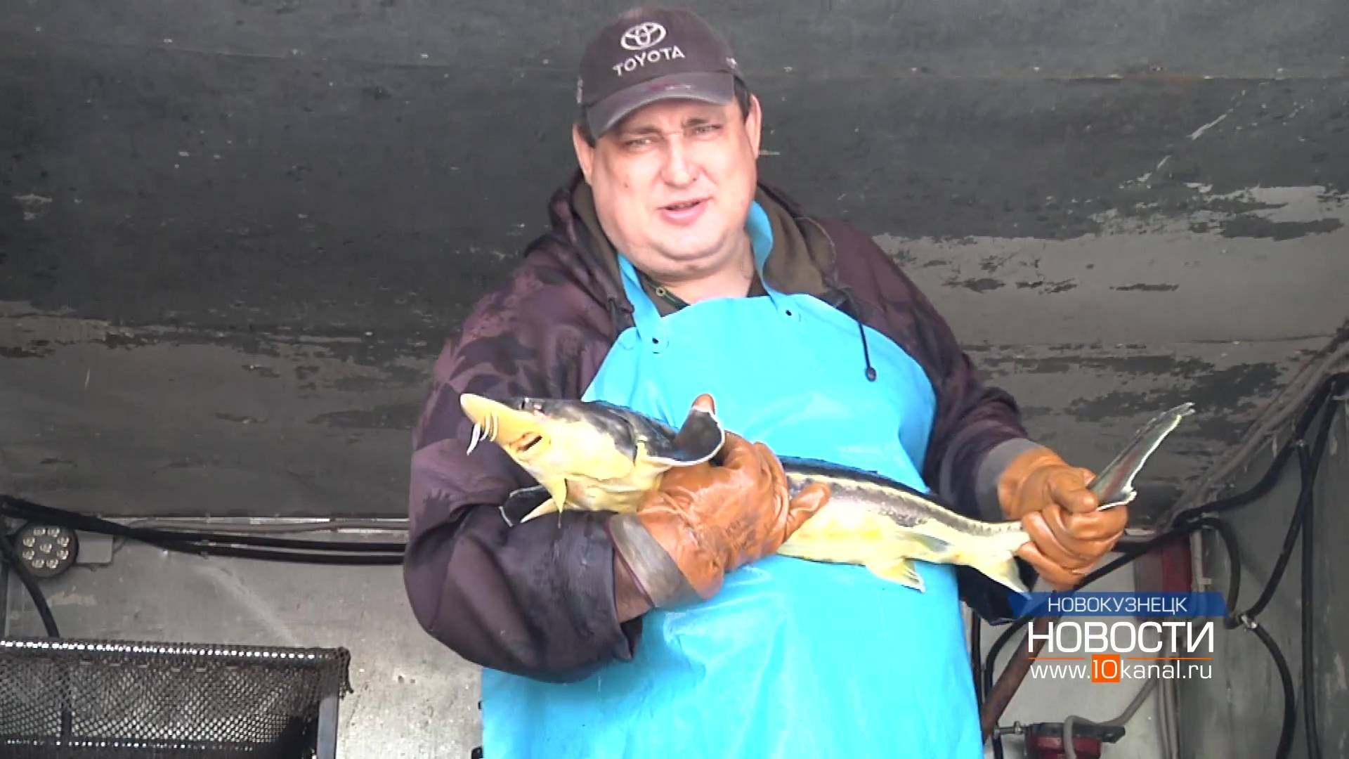 Повезло только двоим