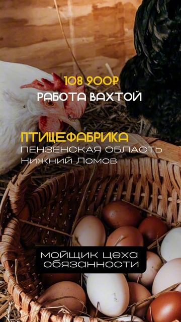 Заполняй анкету в шапке профиля!