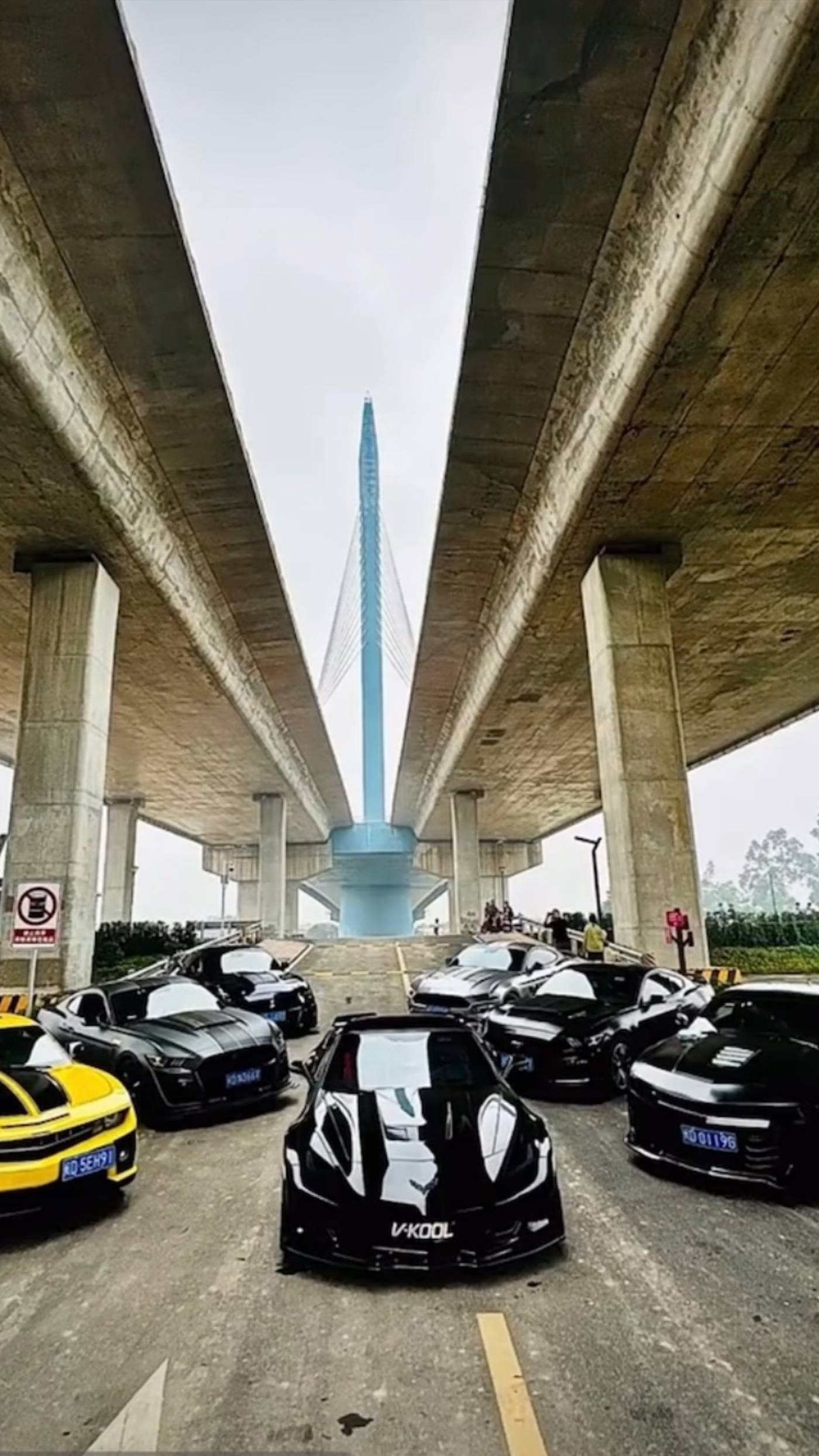 Petrolheadperformance  из Китая