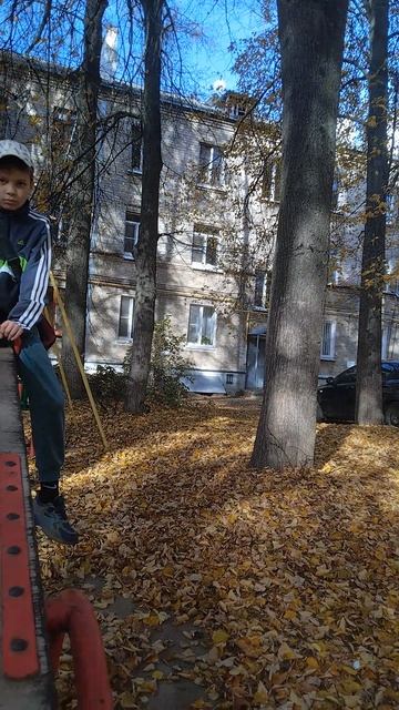 гао