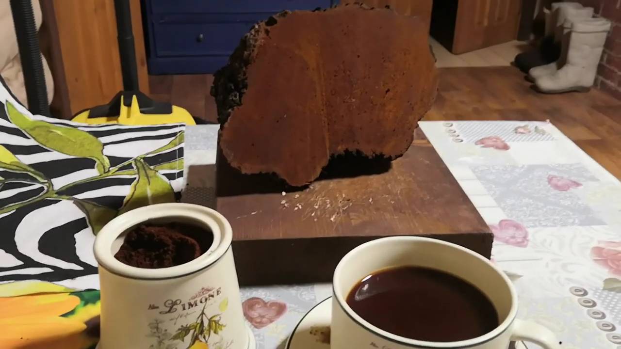 Приготовление чаги (от и до)