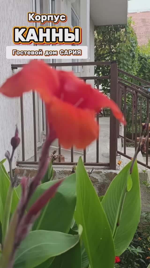 Корпус Канны / Гостевой дом 