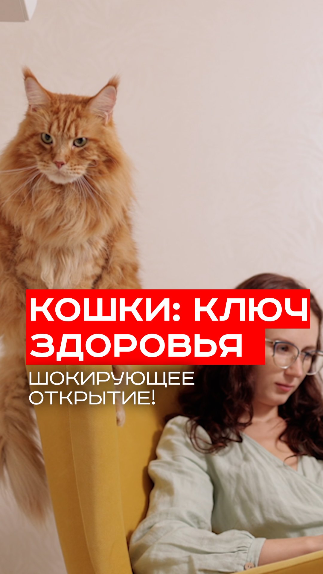 Владелец кошки? Секрет вашего крепкого сердца откроет два шокирующих исследования!