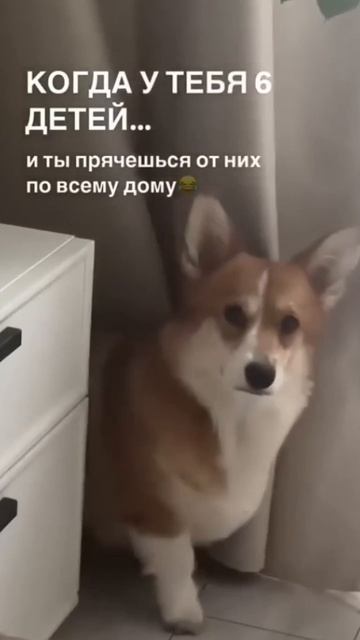смешной разговор поваров о работе