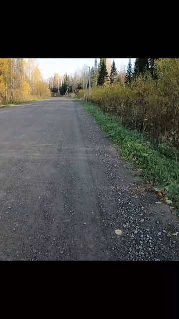 «Шагомер сошел с ума»