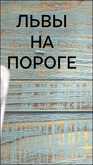 #ЛЬВЫ НА ПОРОГЕ💖💖💖