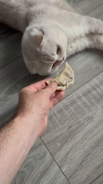 Вкусняшки 😋