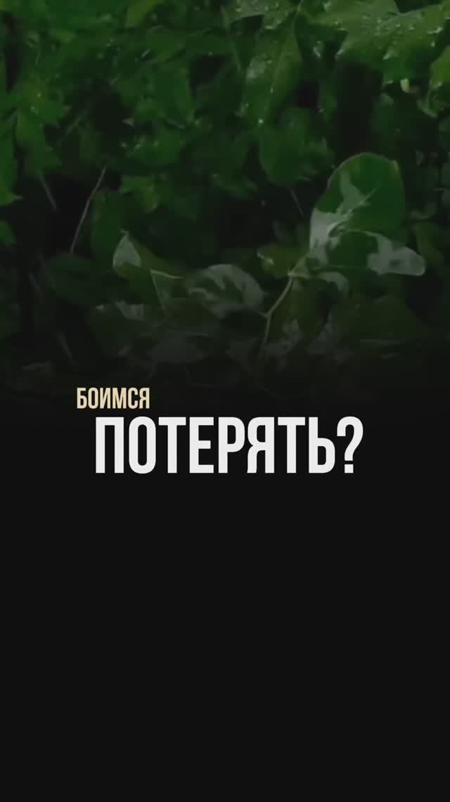 Почему мы боимся потерять?