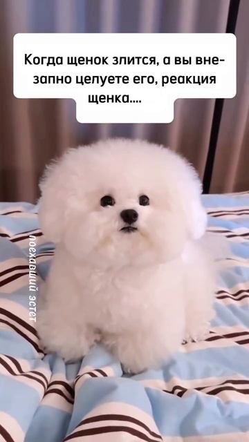 ☺))