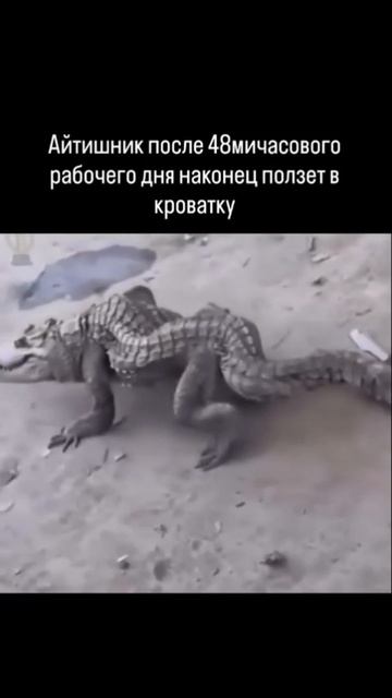 @rotnaobroth