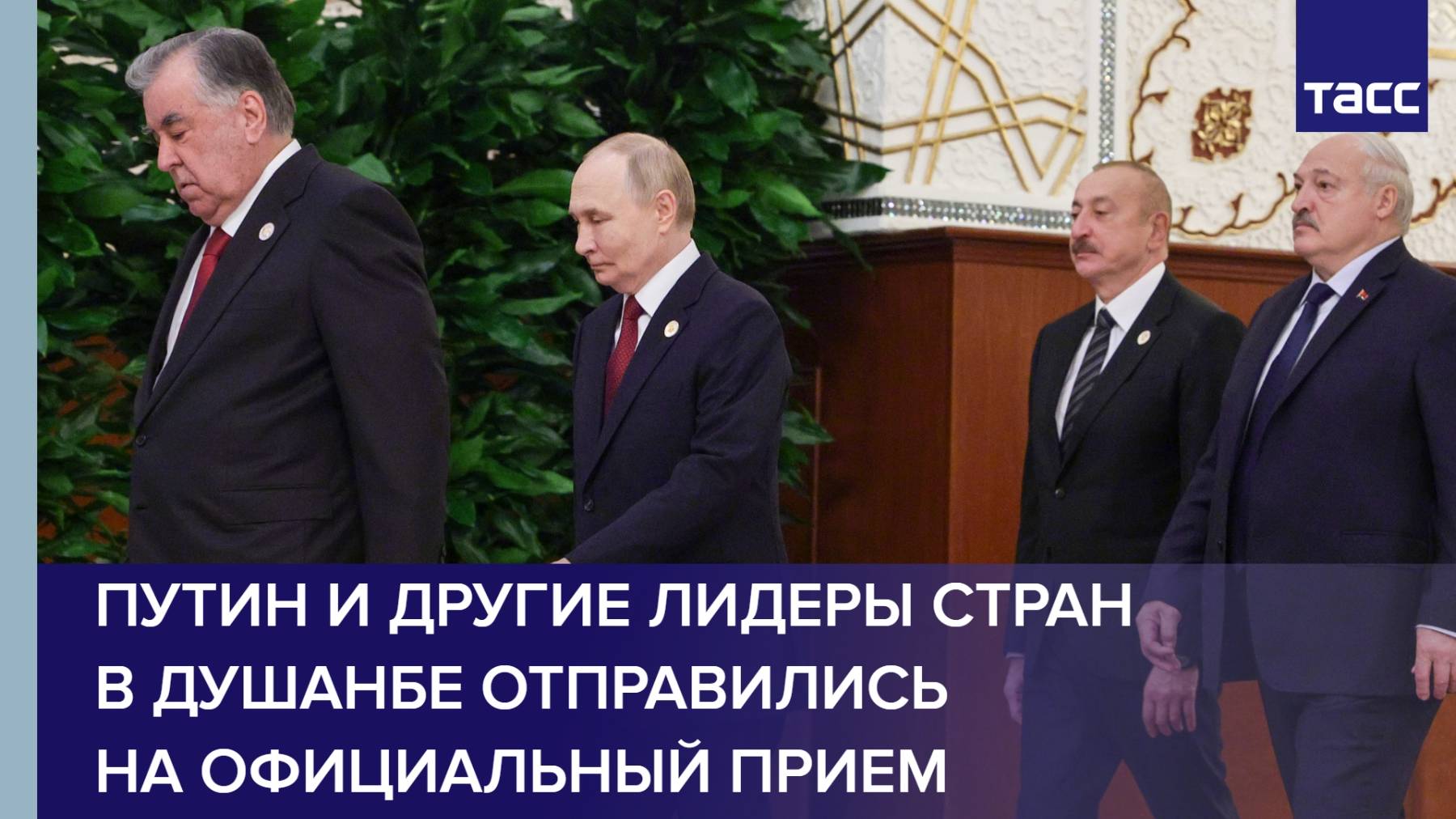 Путин и другие лидеры стран в Душанбе отправились на официальный прием