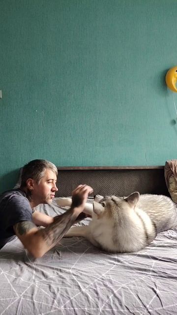Милота
