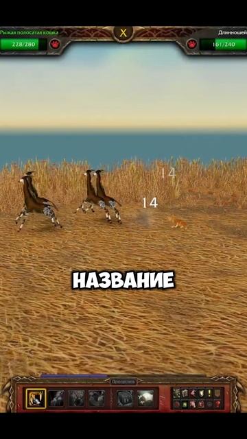 Что случилось с боевыми питомцами в WoW?