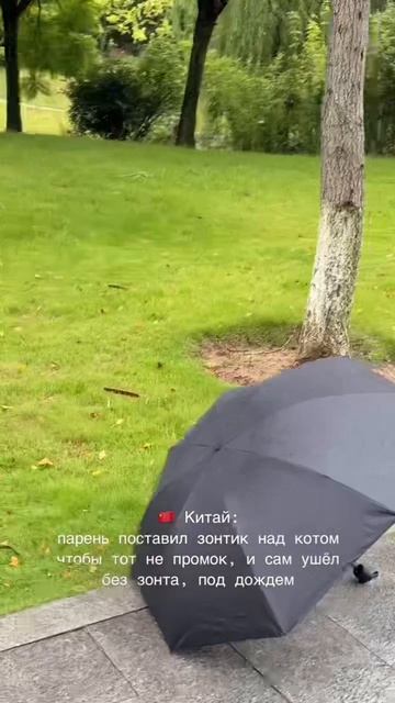 Китаец спас котика во время дождя — девушка засняла, как тот отдал свой зонтик пушистику #shorts