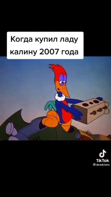 1000009192.mp4