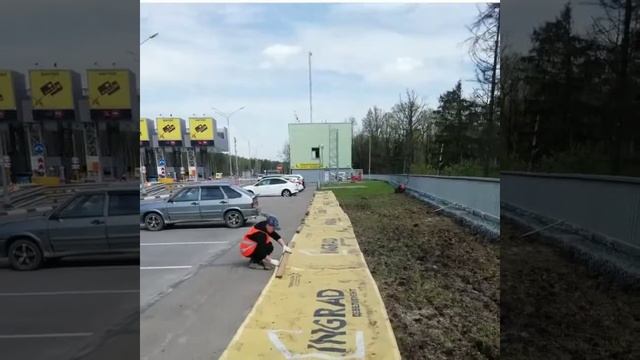 Подготовка нового газона