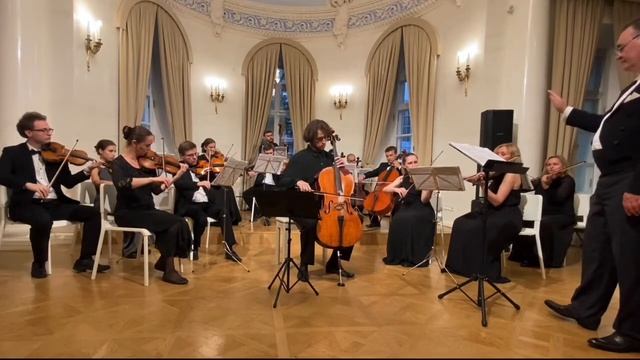 Шуман - Грёзы (переложение для виолончели с оркестром М. Уткина)