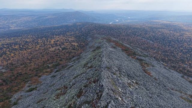 Гора Острый тур - панорамы Чердынский камень, Конжак, Косьвинский камень, Косьва, Тыпыл