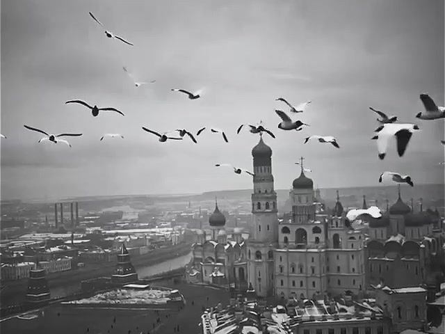 Ожившее время фотографа Сергея Челнокова