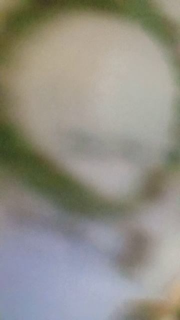 1000034155.mp4