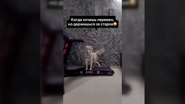 Видео от МЭН - Мне Это Нравится