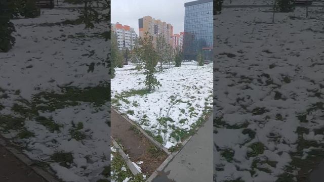 Гуляю по парку. И у нас лежит снег.
