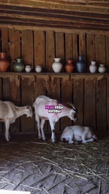Жилище крестьян