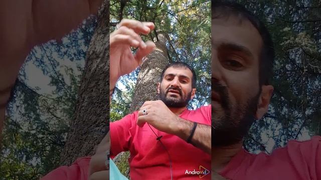 VAGIFOK V8.mp4