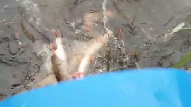 1000037182.mp4