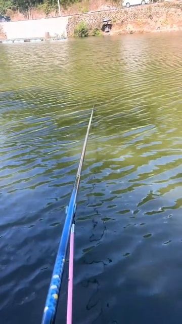 Морально унижает