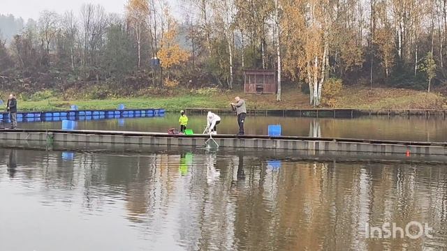 11.10.25. Поимки после зарыбления VIP зоны форелью.