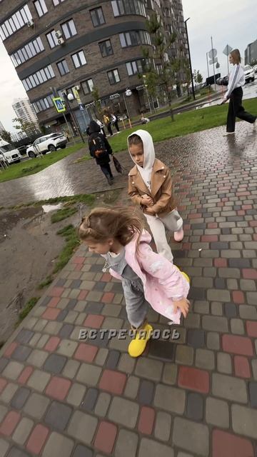 Тяжелые будни блогера …