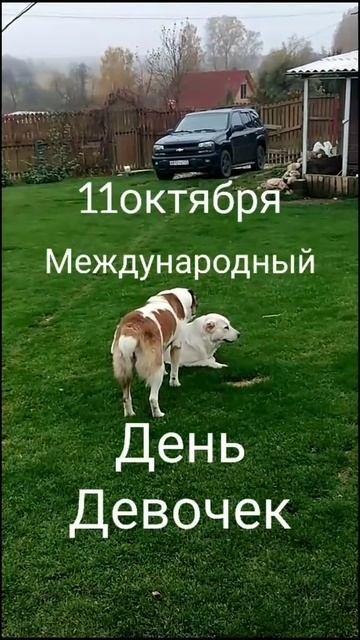 11 октября Международный день девочек