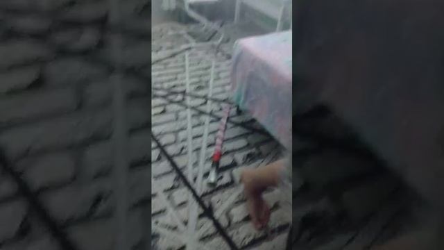 общага