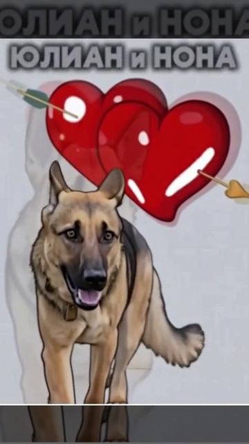 Юлиан и Нона