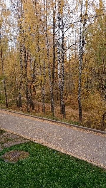 Кирово-Чепецк, осень, 11 октября