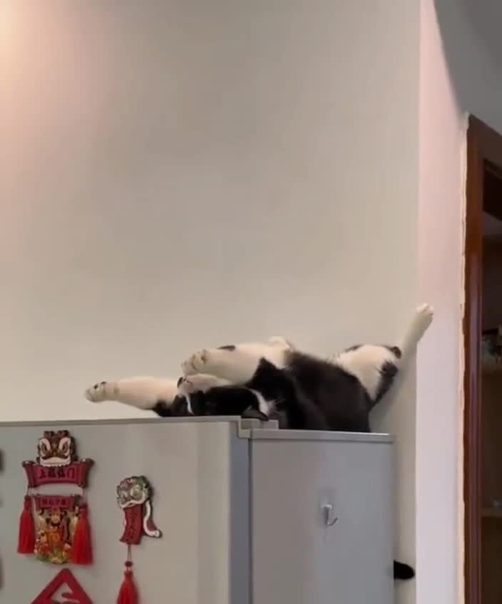 Просыпаемся, без резких движений 🥳😻