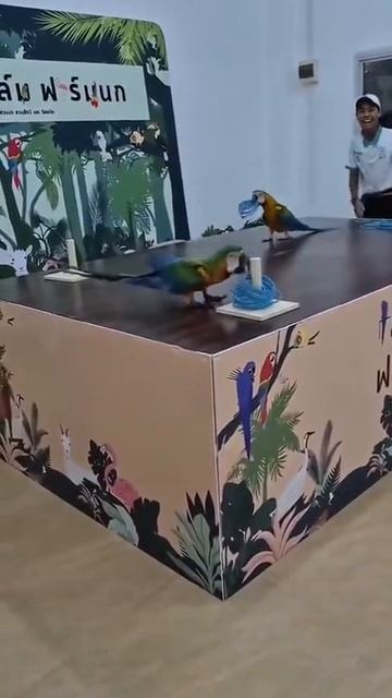 VID_20251011_092944_145.mp4
