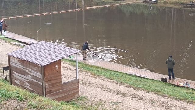 Forest Fishing 11.10.25