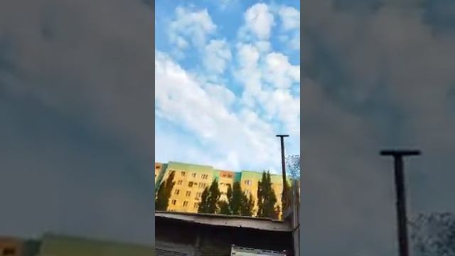 Оренбуруг голуби дядя Николай
