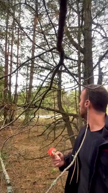 Интересный гриб