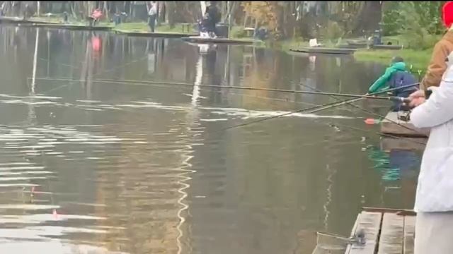 Видео отчет с водоема