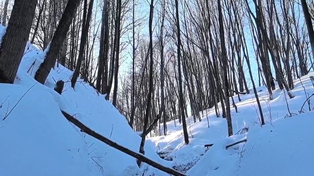 родники вода парит