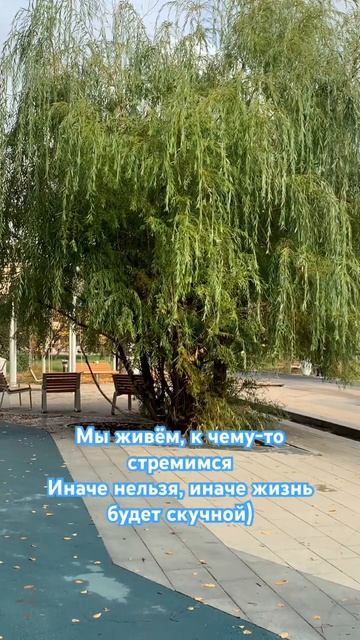 Не иначе