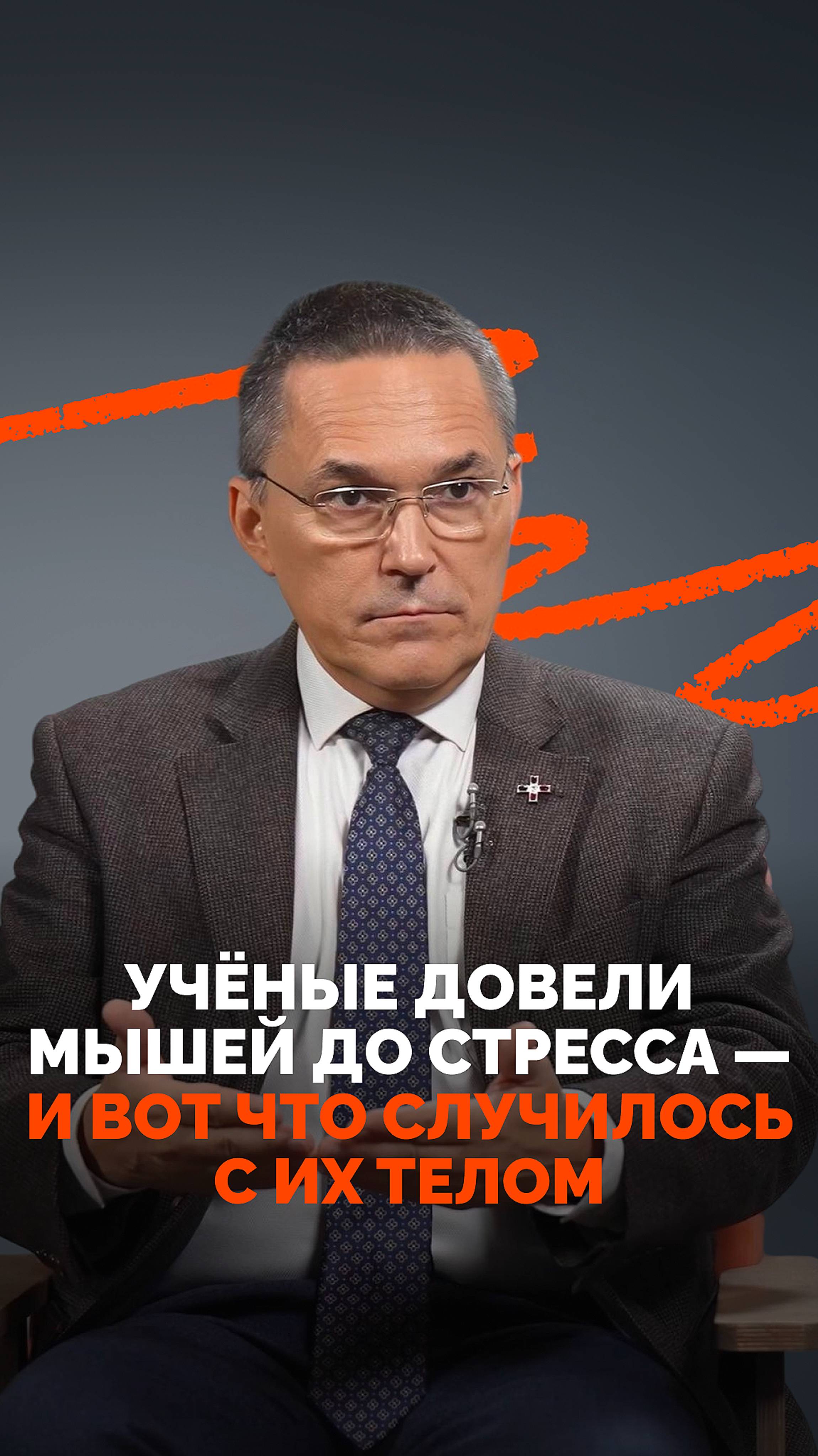 Учёные довели мышей до стресса – и вот что случилось с их телом
