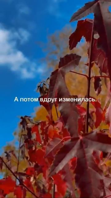 Video_9569154176387.mp4